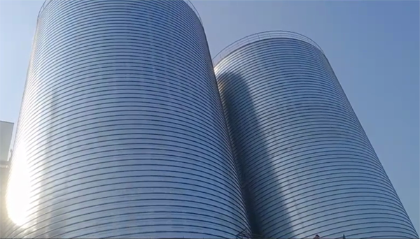 兴庆2座混凝土高架卷板仓